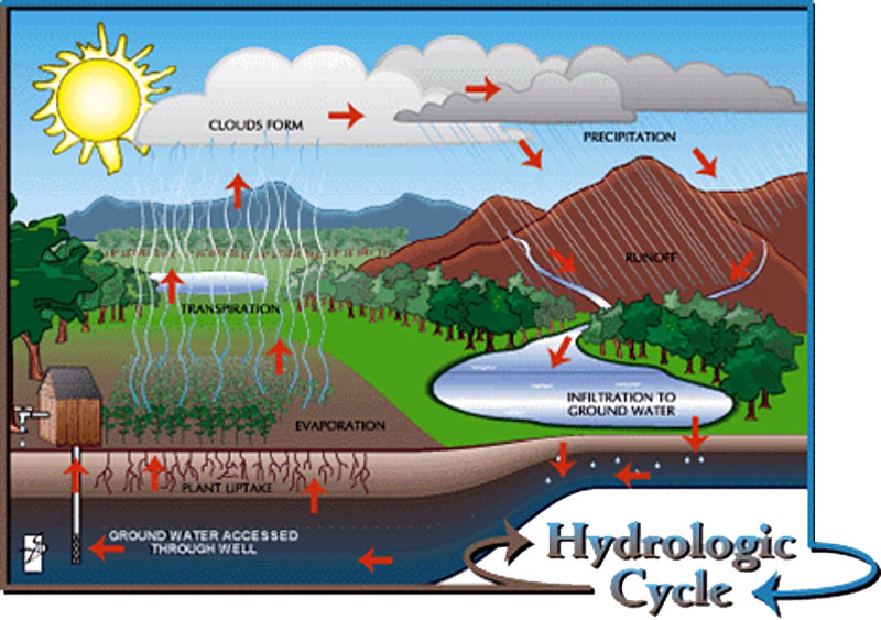 hydrologic cycle